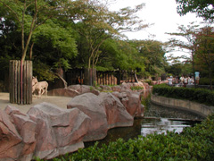 金沢動物園写真