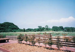 柴シーサイドファーム写真