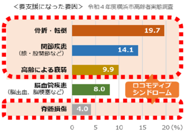 要支援になった要因