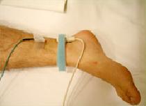 下肢を刺激している様子