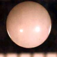 はまぐり中の異物の拡大写真