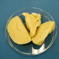 茹でタケノコの正常品の写真