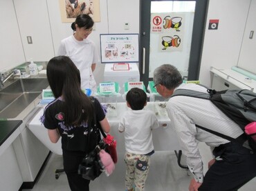 意外とかわいい？ゴキブリと蚊
