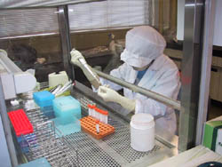 ウイルス検査の風景