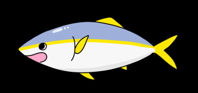 ヒラマサくん