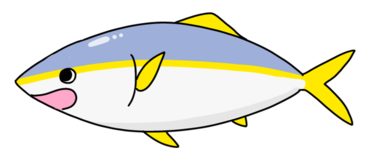 ヒラマサくん
