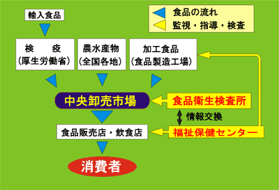 食品衛生検査所は中央卸売市場を監視、指導、検査する機関です。
