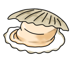 開いてるほたてがい