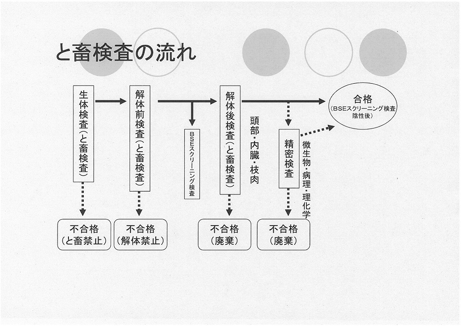 と畜検査の流れ