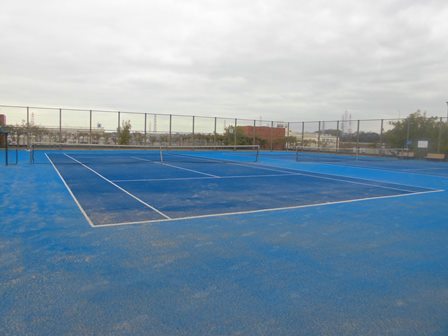 Ảnh sân tennis Taio Park