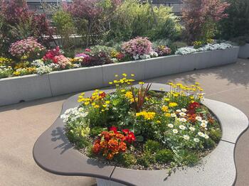 港北区役所屋上庭園