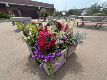 港北区役所屋上庭園