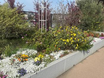 港北区役所屋上庭園