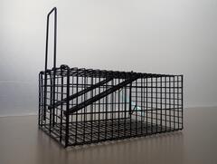 ネズミ捕獲器写真