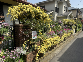 第13回港北オープンガーデン会場のようす