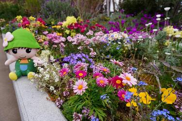 区役所の屋上庭園で港北区ミズキーが遊ぶ様子