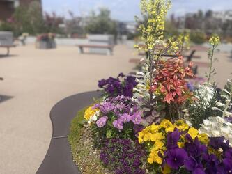 屋上庭園の様子