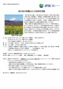 菜の花の吾妻山と　川勾神社初詣