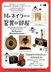 Mrネイラーの驚異の部屋