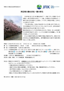 南足柄の春めき桜・　春の草花