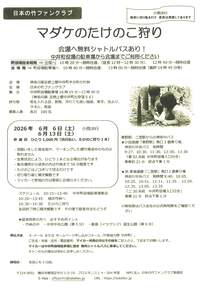 マダケのたけのこ 狩り