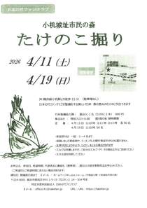 小机城址市民の森　たけのこ掘り