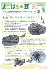 よこはまの森ニュースレター