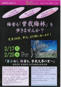 梅香る「曽我梅林」を歩きませんか