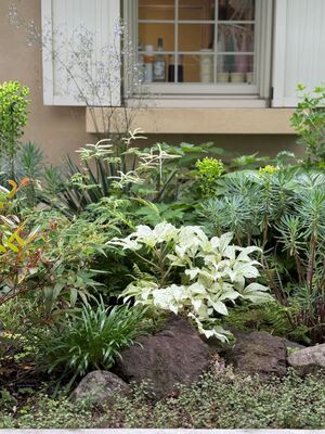 宿根草を使った花だん