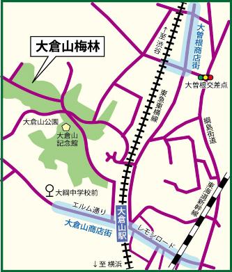 大倉山梅林地図
