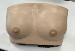 Breast cancer model
