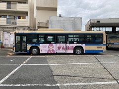 Wrapping bus image data