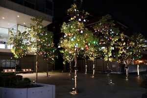 港南公会堂前広場に輝くひかりの実