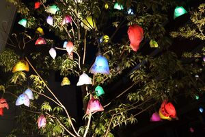 たくさんのひかり輝く「えがお」が実りました