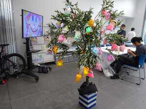 会場に実ったひかりの実の写真