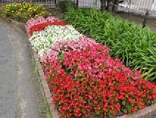 Flowers of Hino Town Hara Daini Park