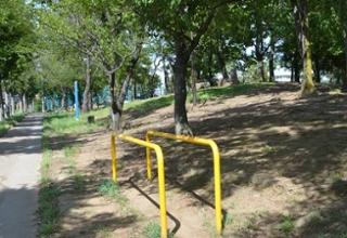 Even though it looks just like a stick, it is actually a healthy playground equipment.