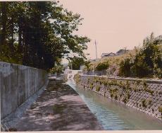 昭和５６年ころの日野川光明橋上流広場付近