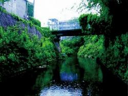 平成８年ころの日野川