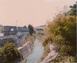 光明桥上流1981年左右
