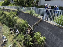 流木を川から引き揚げています