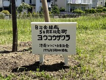 記念プレート