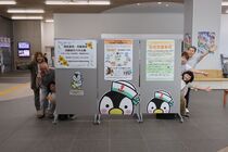 展示