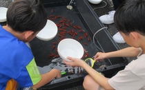 金魚すくいの様子