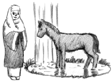 尼将軍北条政子と馬の画像