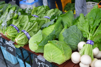 Os legumes que formam uma linha na sociedade de venda direta