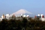 日野公園墓地から見た富士山