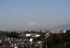 下永谷市民の森から見た富士山