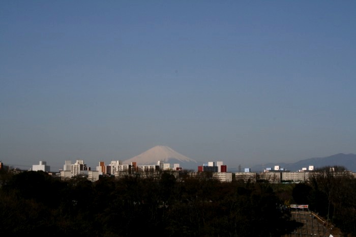 Mount Fuji seen from Hino Park Cemetery
