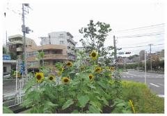 丸山台メガロスジム